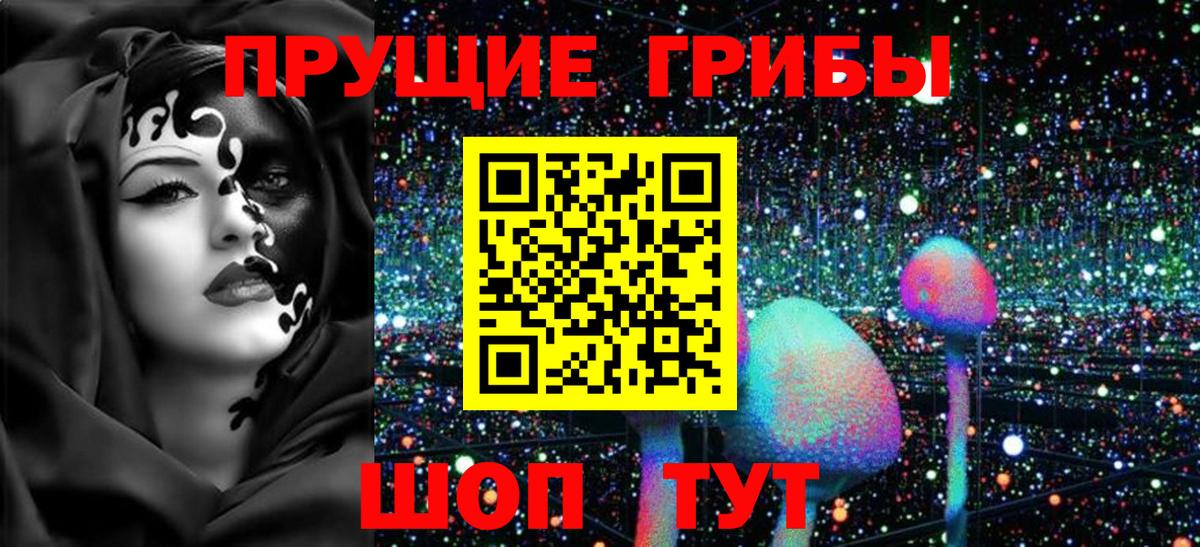 даркнет сайт  Галлюциногенные грибы прущие грибы  Вход с VPN  Сунжа 