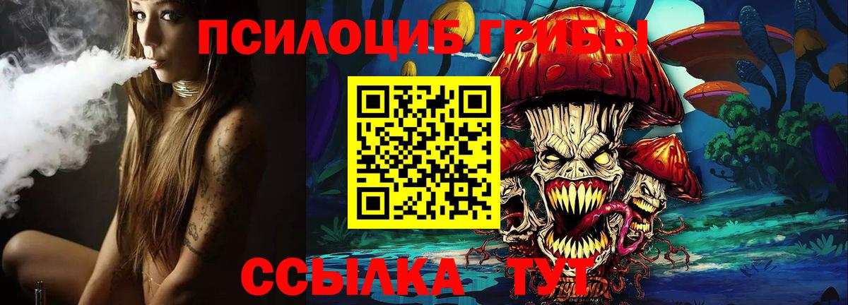 Псилоцибиновые грибы мицелий Сунжа